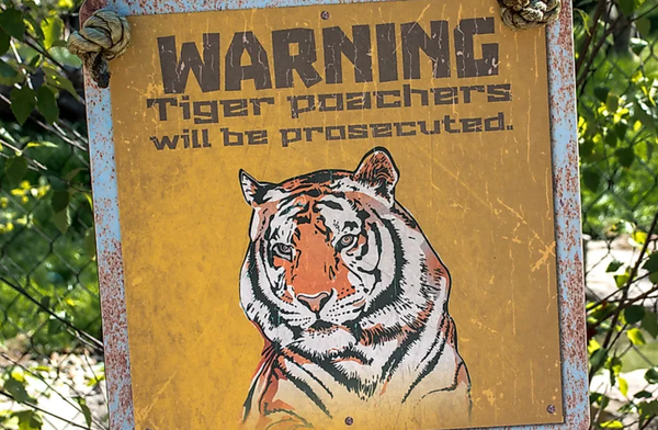 Previse 2025: Protected areas