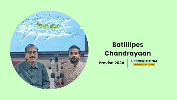 Batillipes Chandrayaani