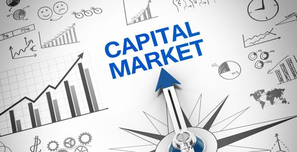 Previse 2025: 'Capital Market' Terms in News