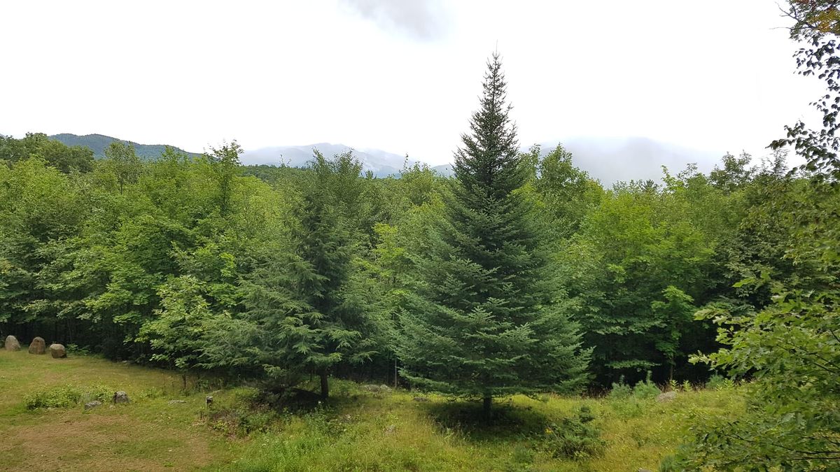 Don Quijote och Sancho Panza