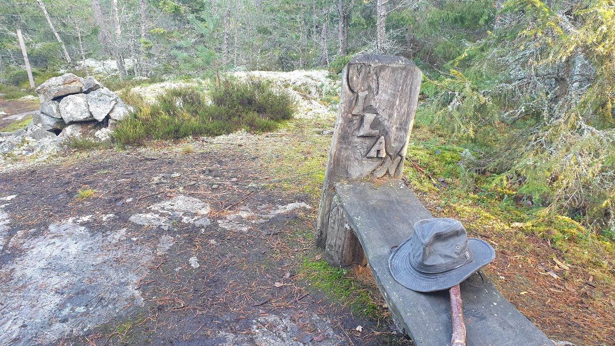 Mindfullness och attityd