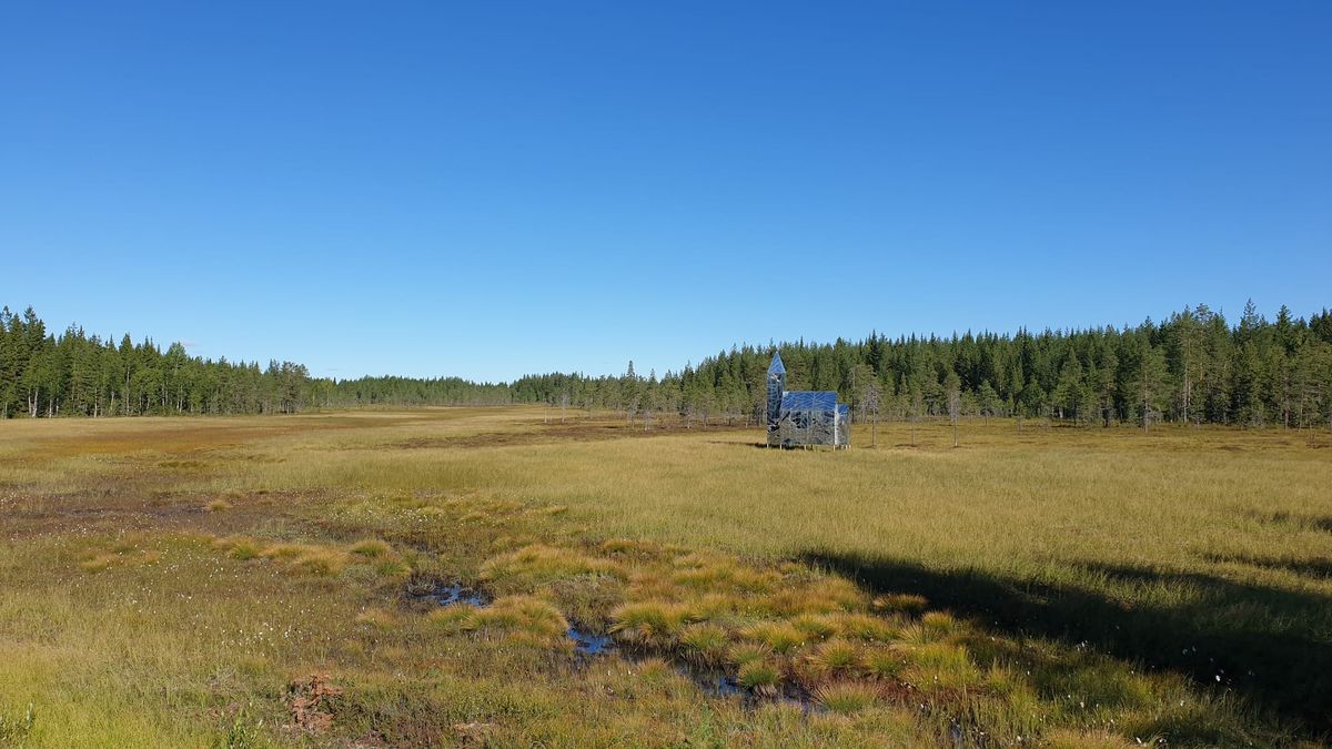 AI i människans tjänst (3 av 4)