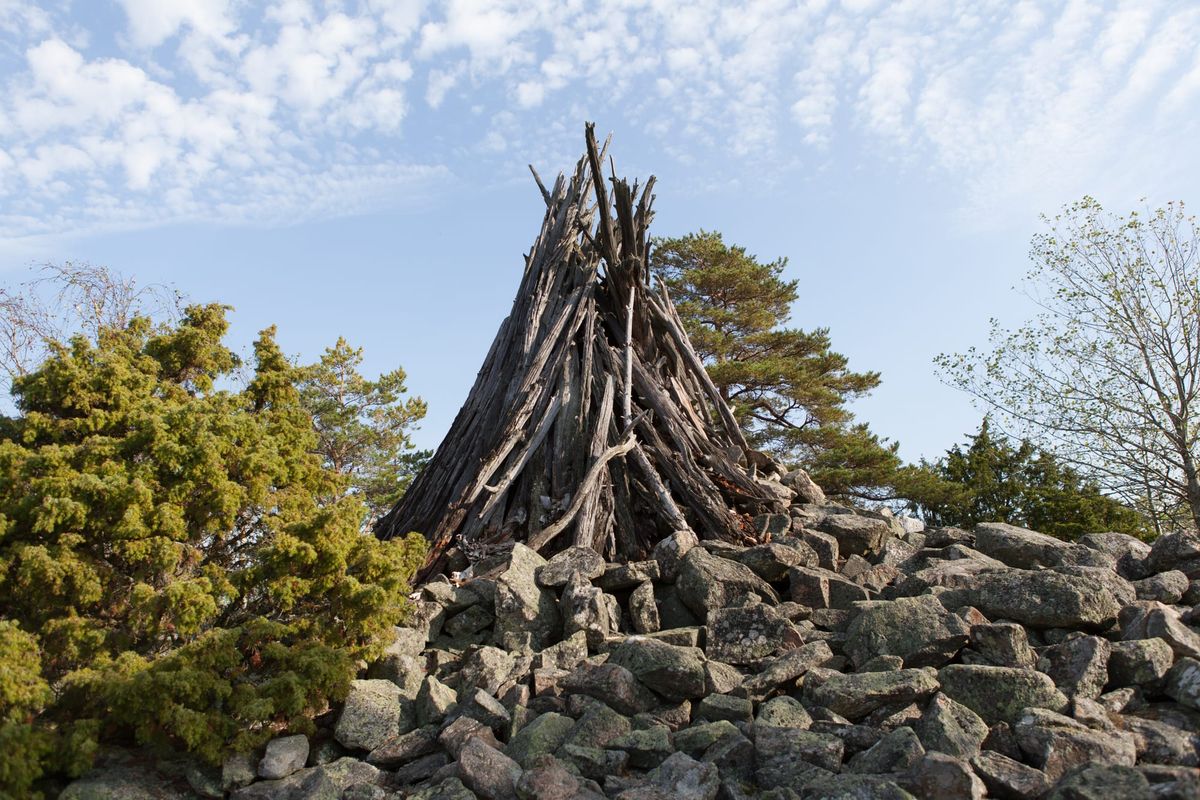 Vårdkase - Reprogression Scen 6