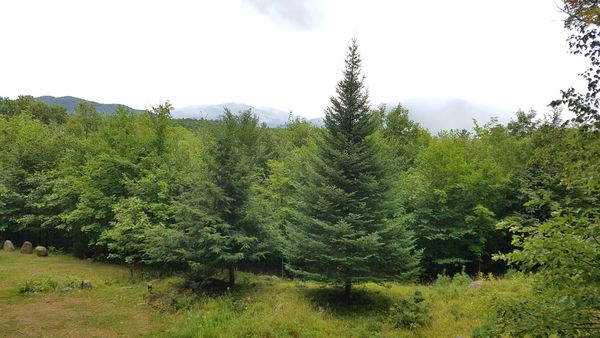 Don Quijote och Sancho Panza