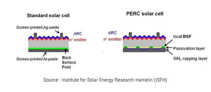 schéma cellules perc