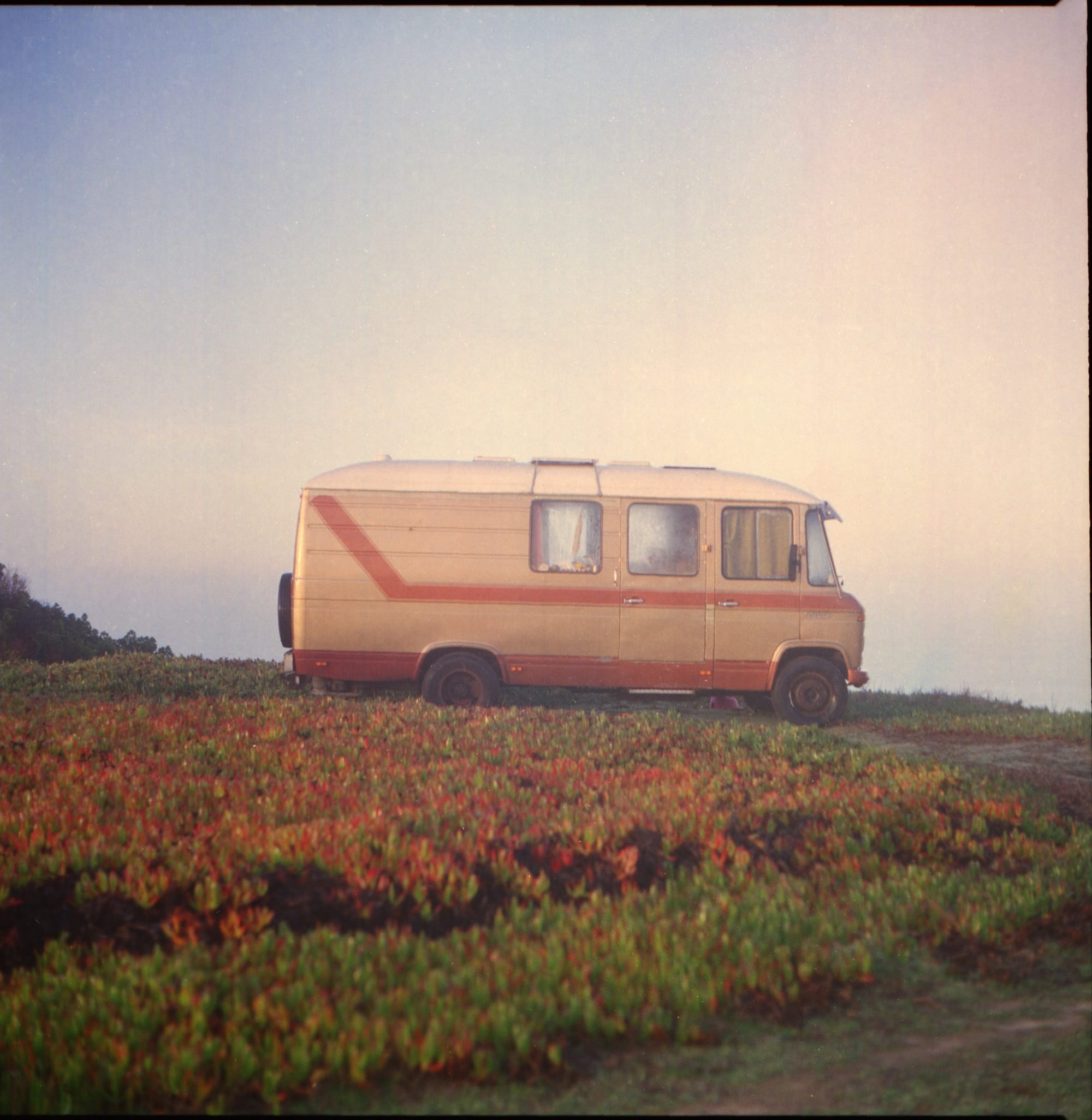 A vintage camper van parked in a field of low, colorful vegetation with a hazy mountain range in the distance.