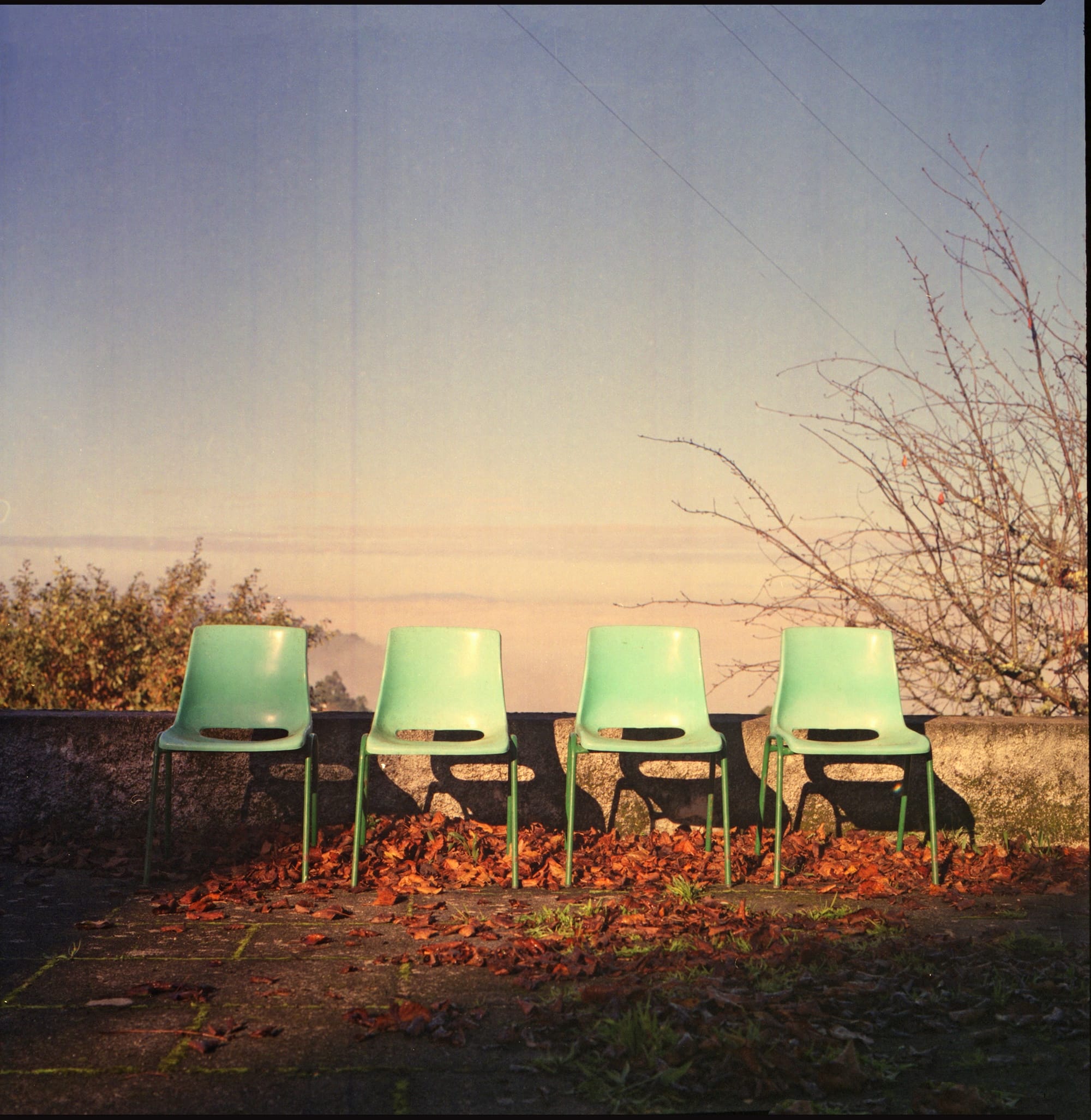 Four green plastic chairs are lined up against a stone wall, surrounded by fallen leaves and a barren tree in the background.