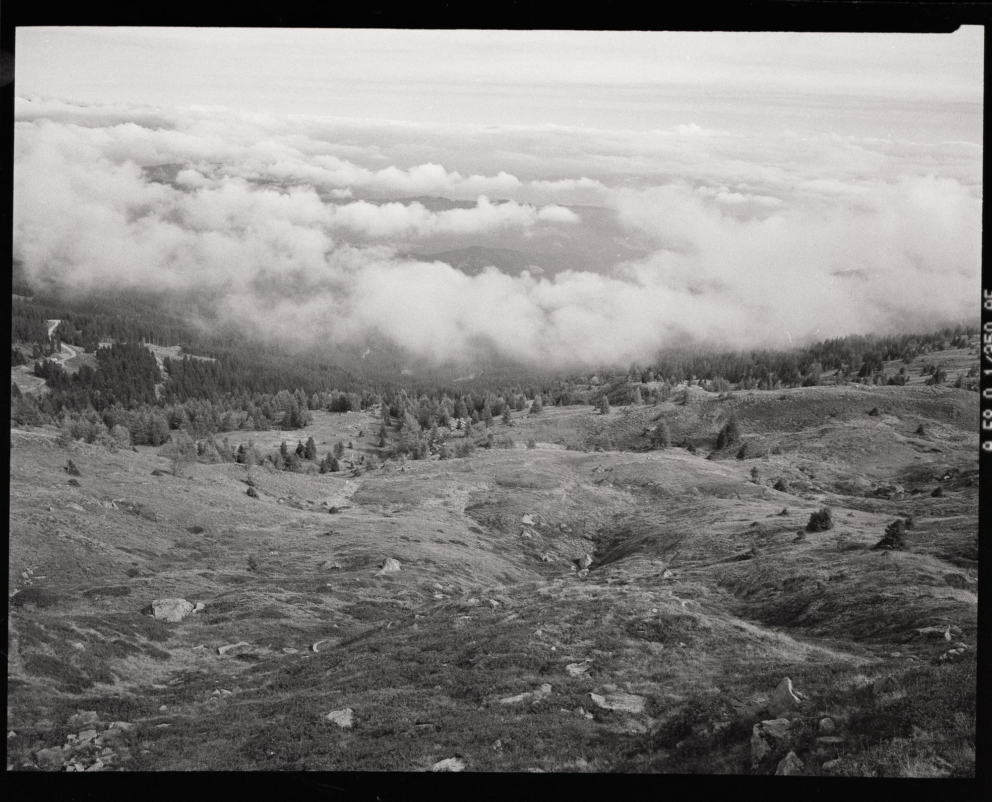 Black and white mountain landscape with scattered trees and clouds.