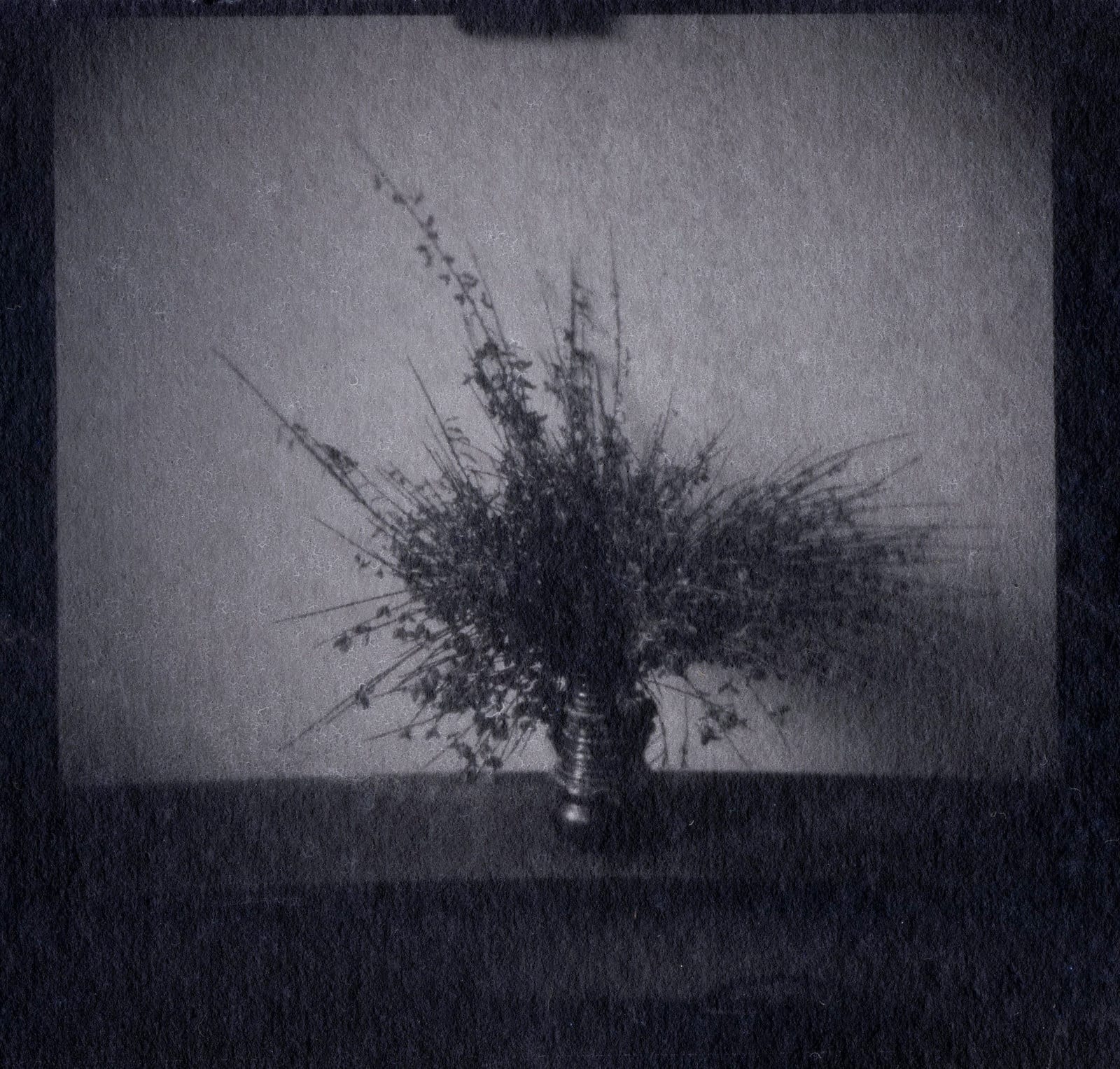 Ce Lokker's Large Format Still Life Work