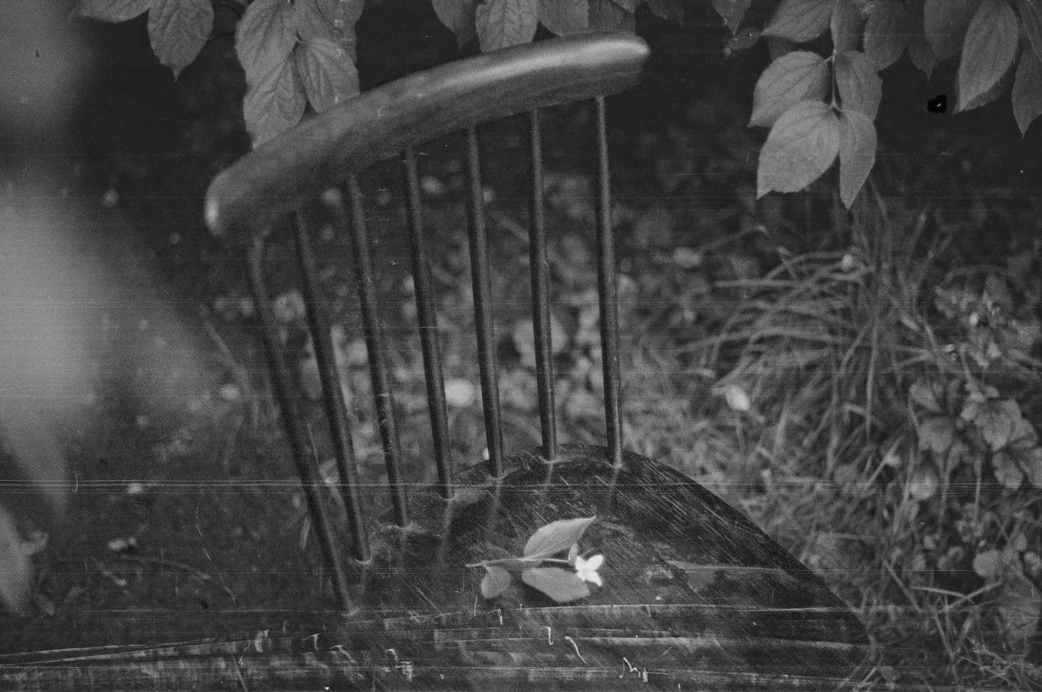 Everyday Film Photography by Tina Sosna