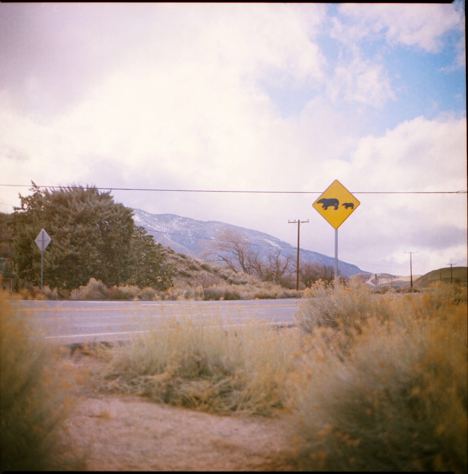 On The Road With Mark Benini