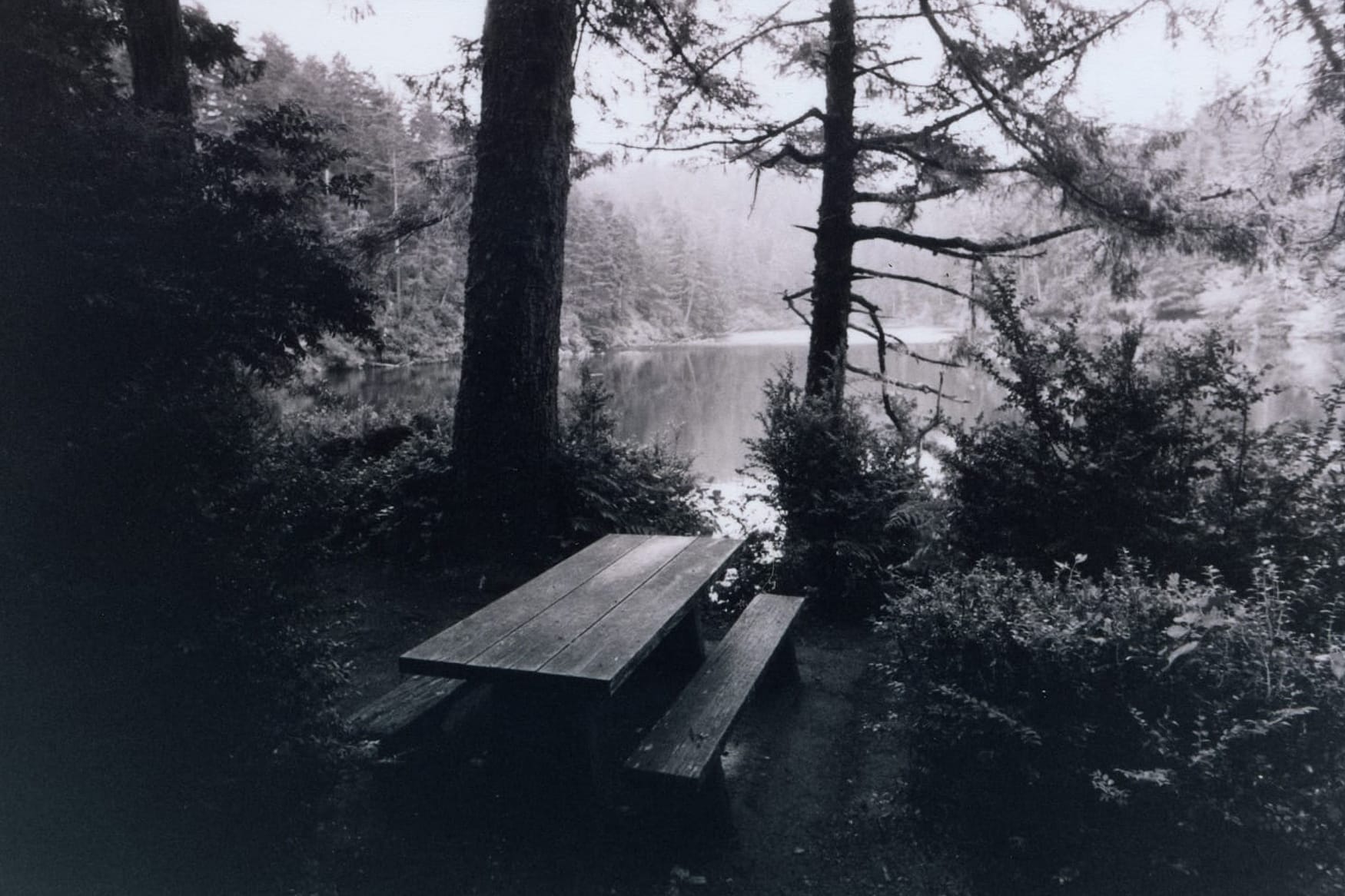 Robert Drozda’s Melancholic Pacific Northwest