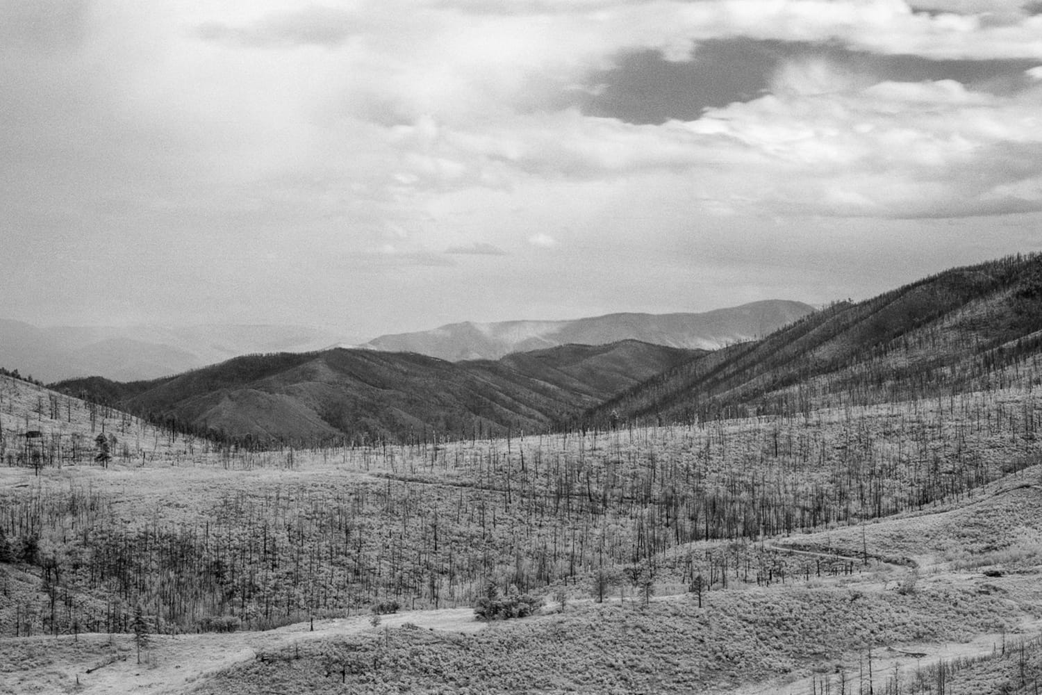 Black and White Panoramas from Eugene Nikiforov