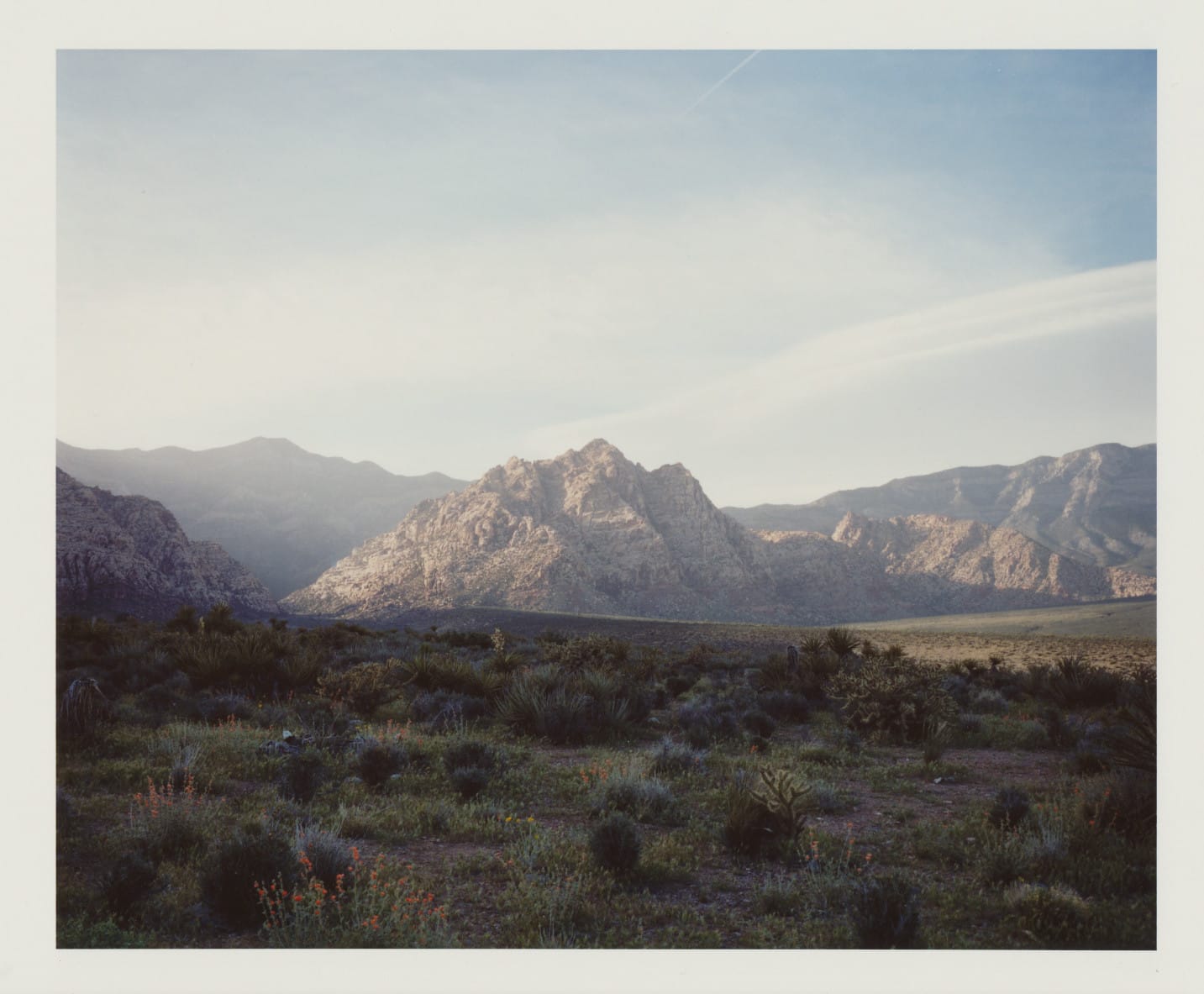 Desert mountains at sunrise with scrub vegetation and wildflowers.