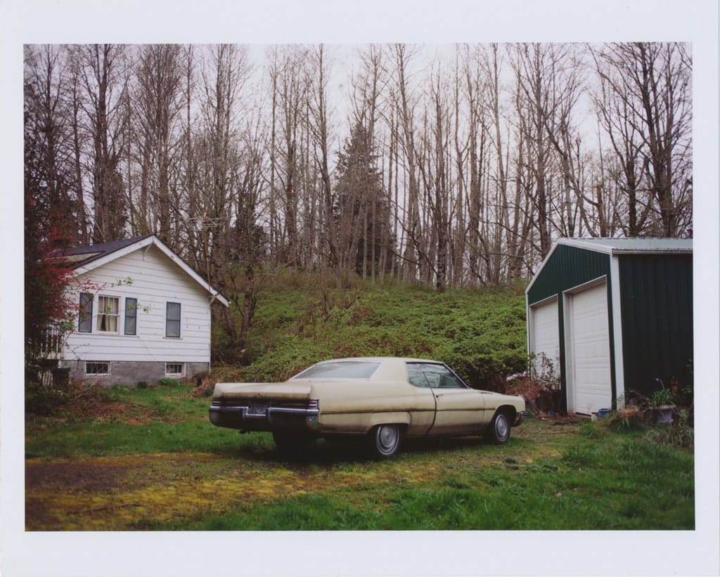Beige sedan in Pacific Northwest driveway with green shed.