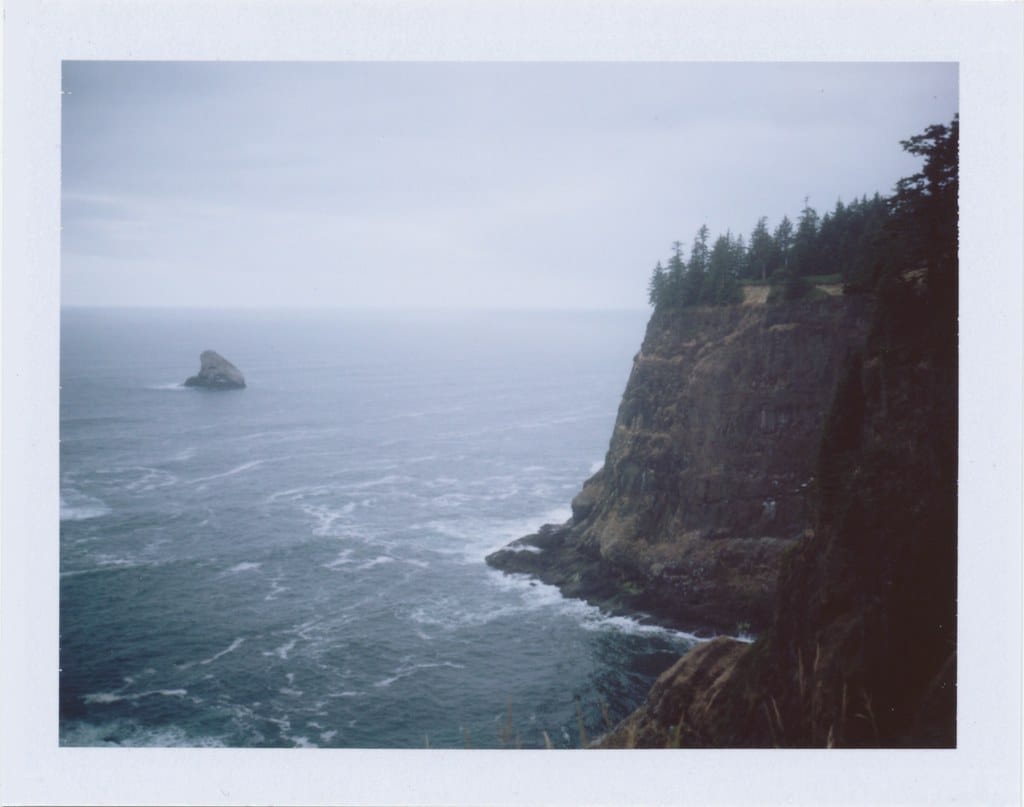 Coastal cliff with evergreens and ocean fog.