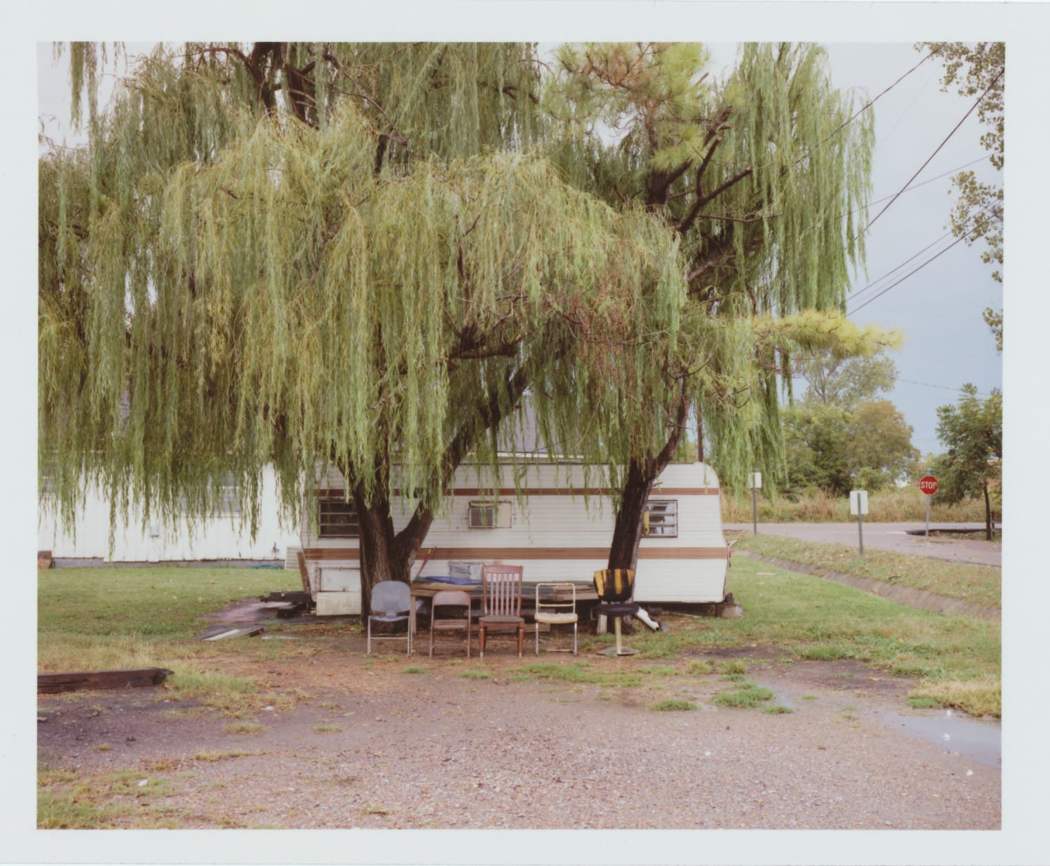 Willow tree with trailer and chairs underneath.