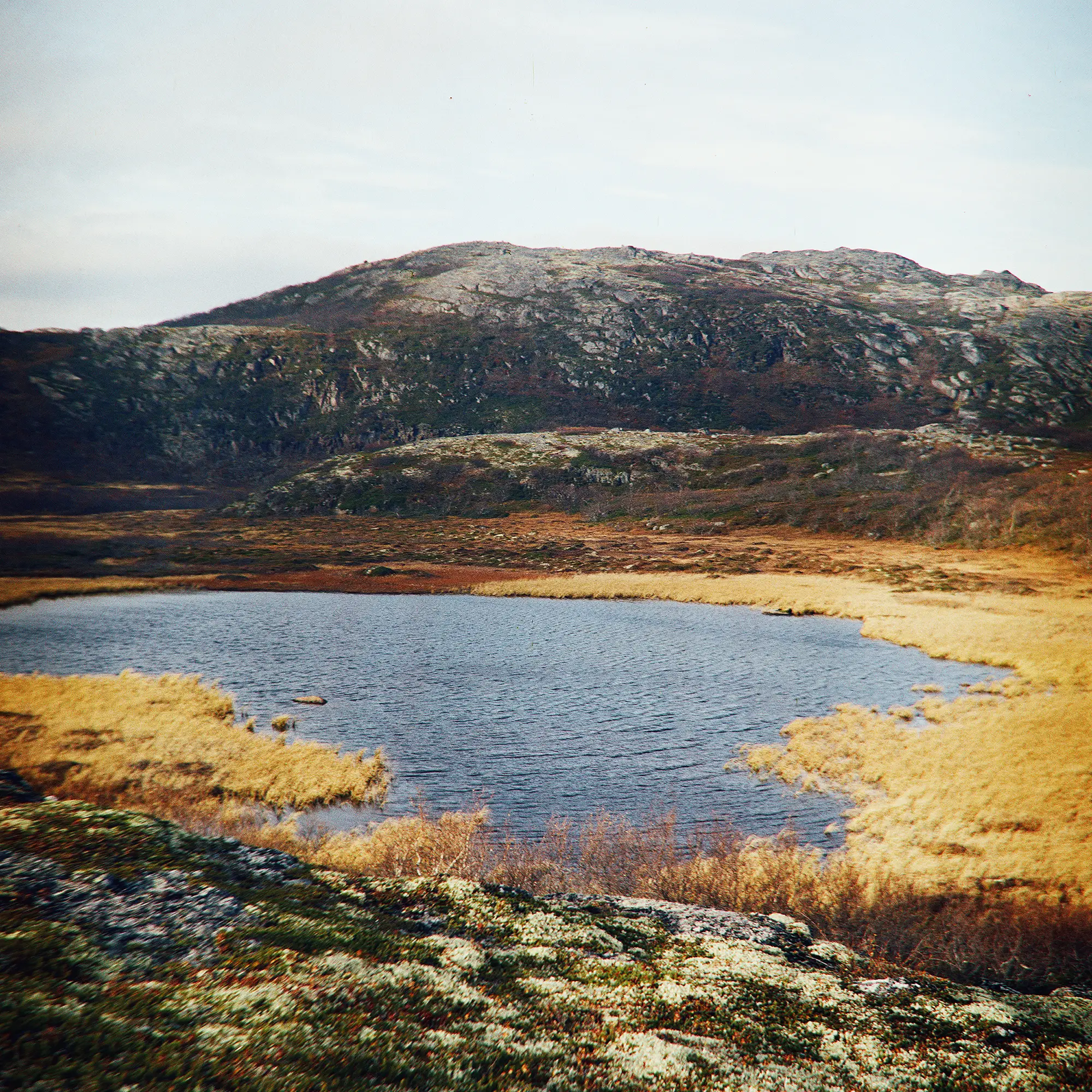 Dark lake surrounded by golden tundra grasses with rocky mountain rising beyond.