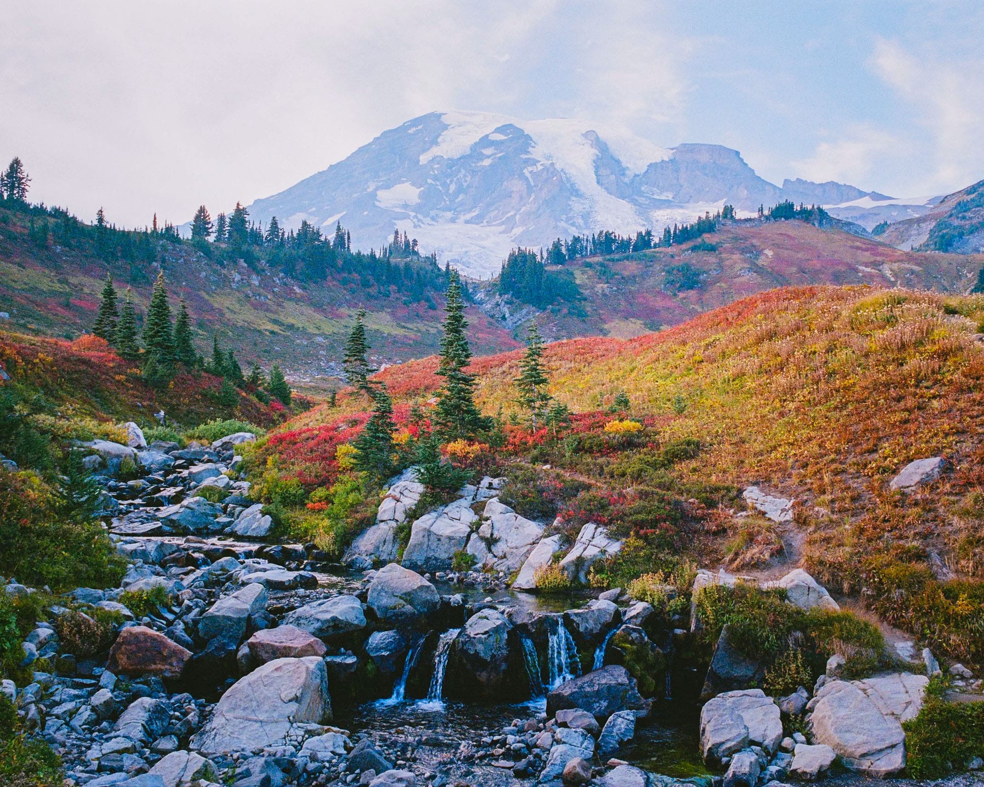 Mount Rainier towers over alpine meadow with colorful fall vegetation and cascading stream.