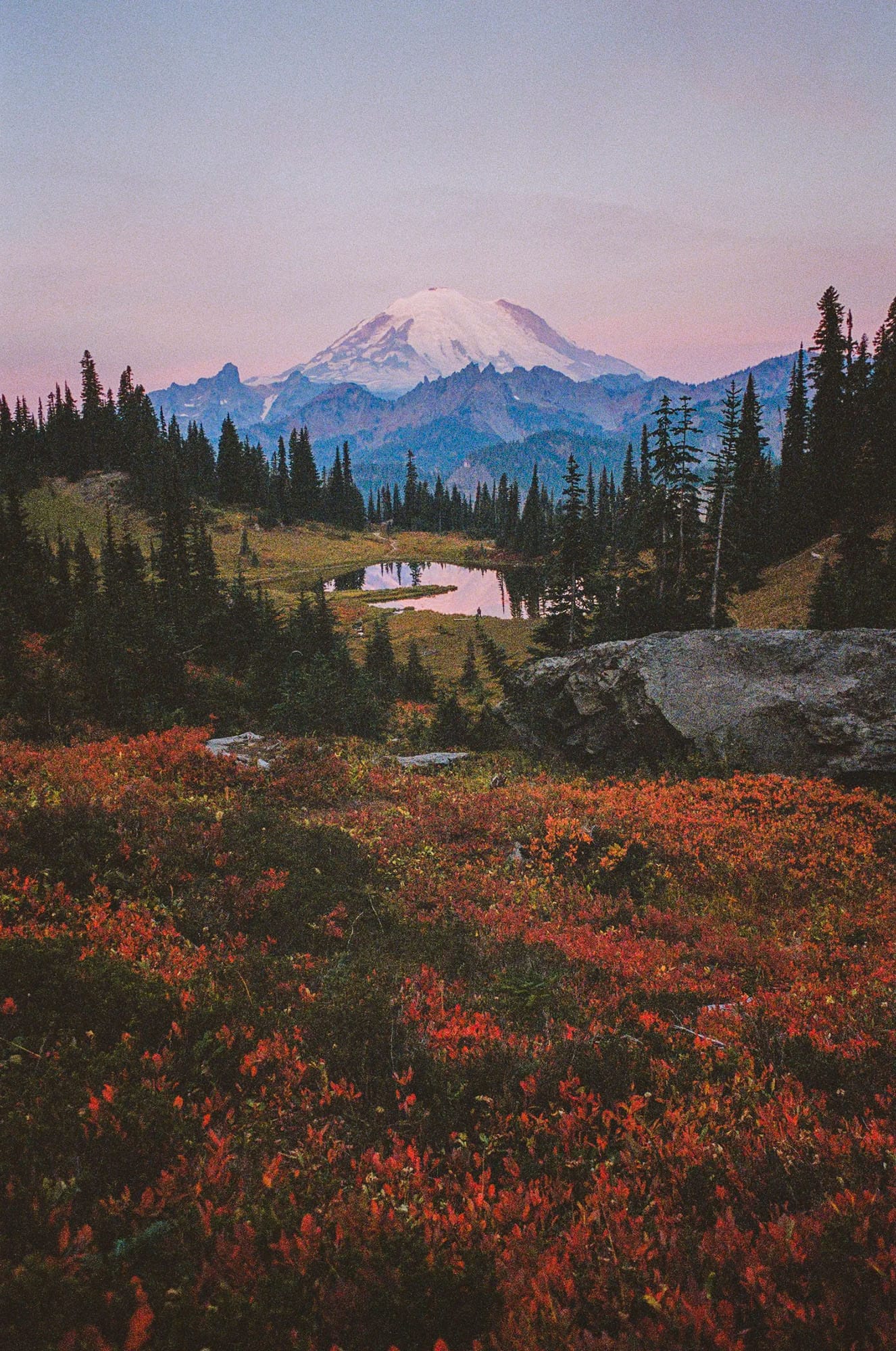 Snow-capped Mount Rainier rises above fall foliage and small tarn at dusk.