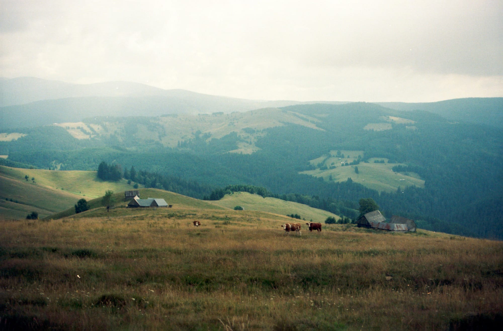 Vlad Lazin's Analog Study of Vastness and Isolation