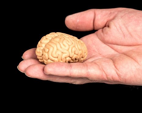 ¿Inteligencia en decadencia?: los nativos digitales puntúan menos CI que generaciones anteriores
