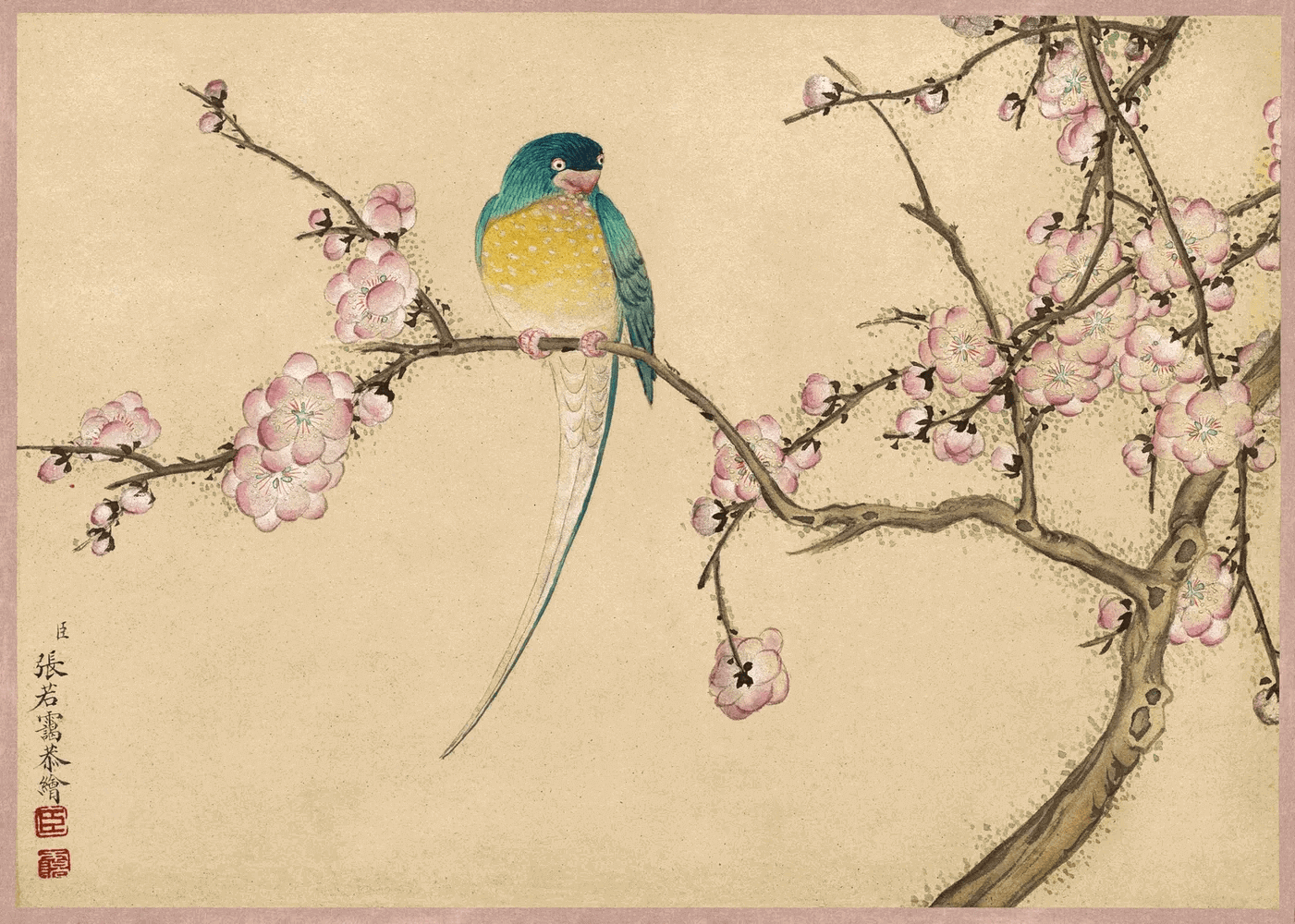 Cherry Blossom