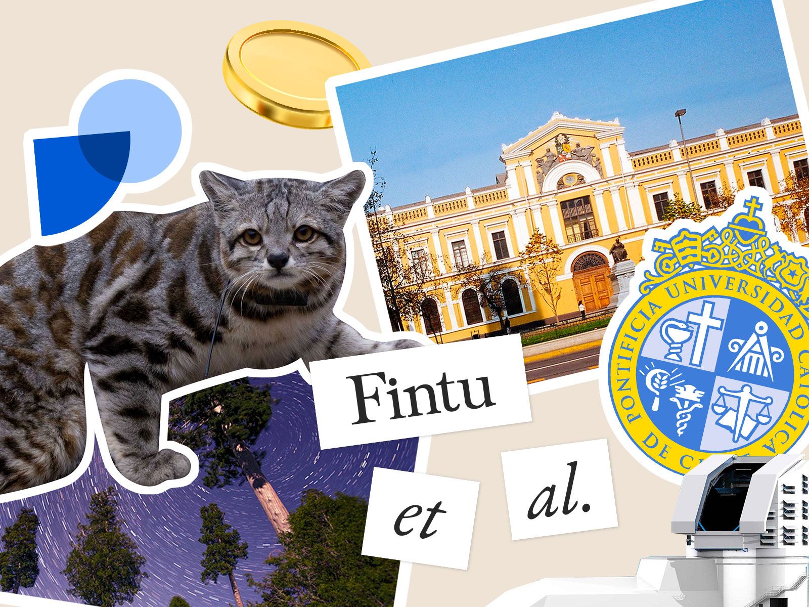 Cómo colaboran Fintual y la academia