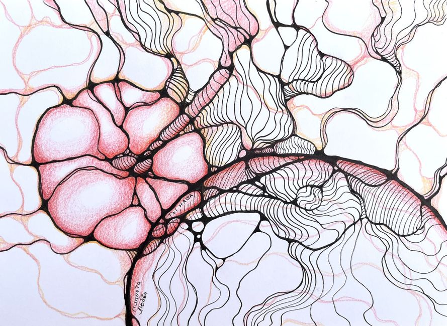 What makes NeuroGraphica different?