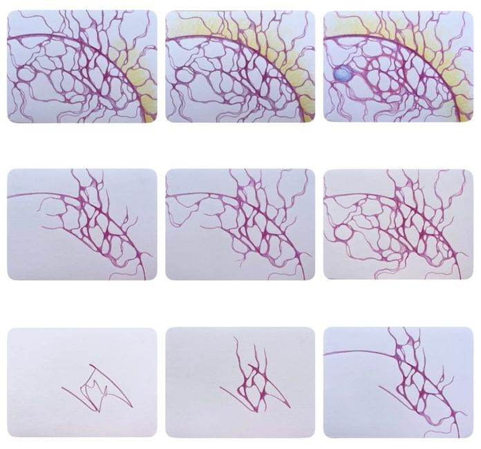 NeuroGraphica and NeuroArt: what’s the difference?