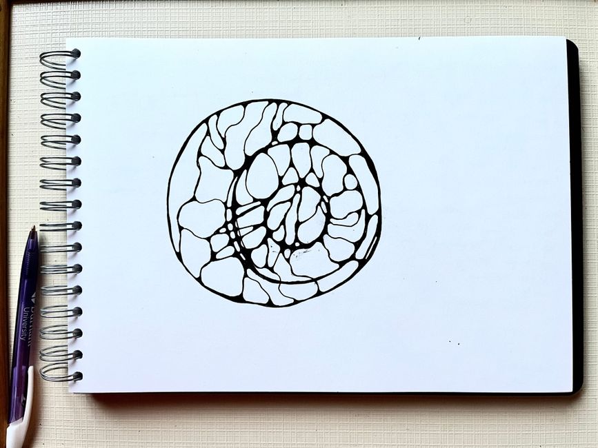 Thinking with a Pen