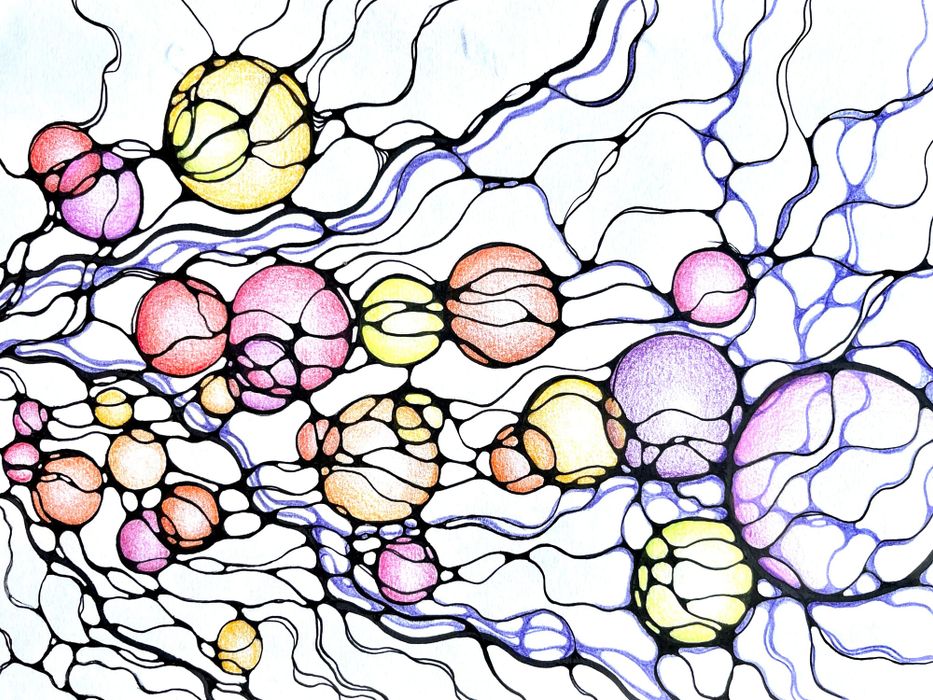NeuroGraphica drawing by Margarita Steinberg