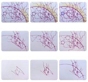 Image of: NeuroGraphica and NeuroArt: what’s the difference?