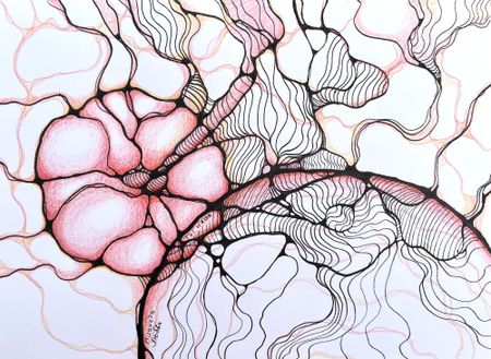 Image of: What makes NeuroGraphica different?