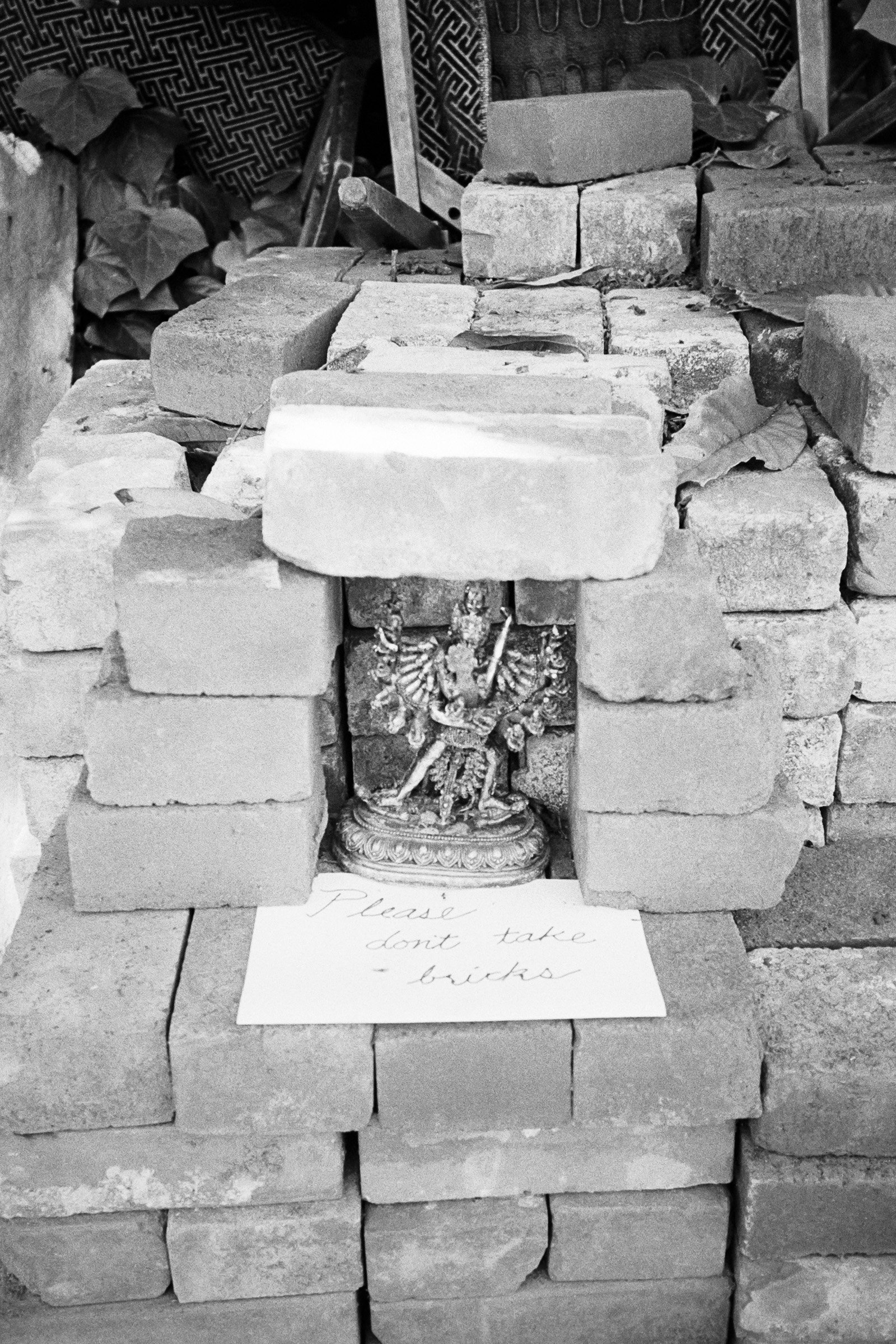 052024-OAK-OXA-TriX400-01 copy.jpg