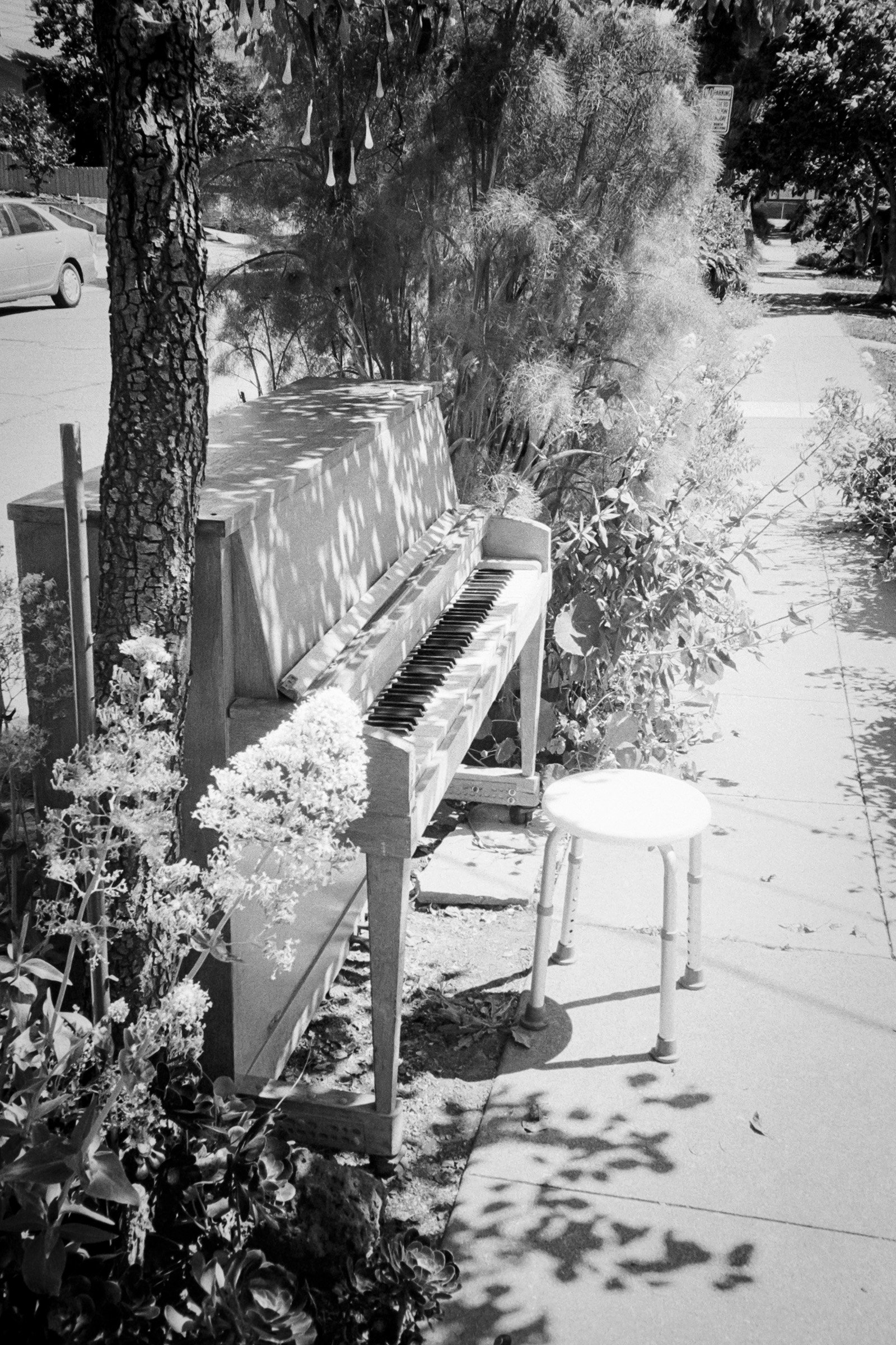 052024-OAK-OXA-TriX400-02 copy.jpg