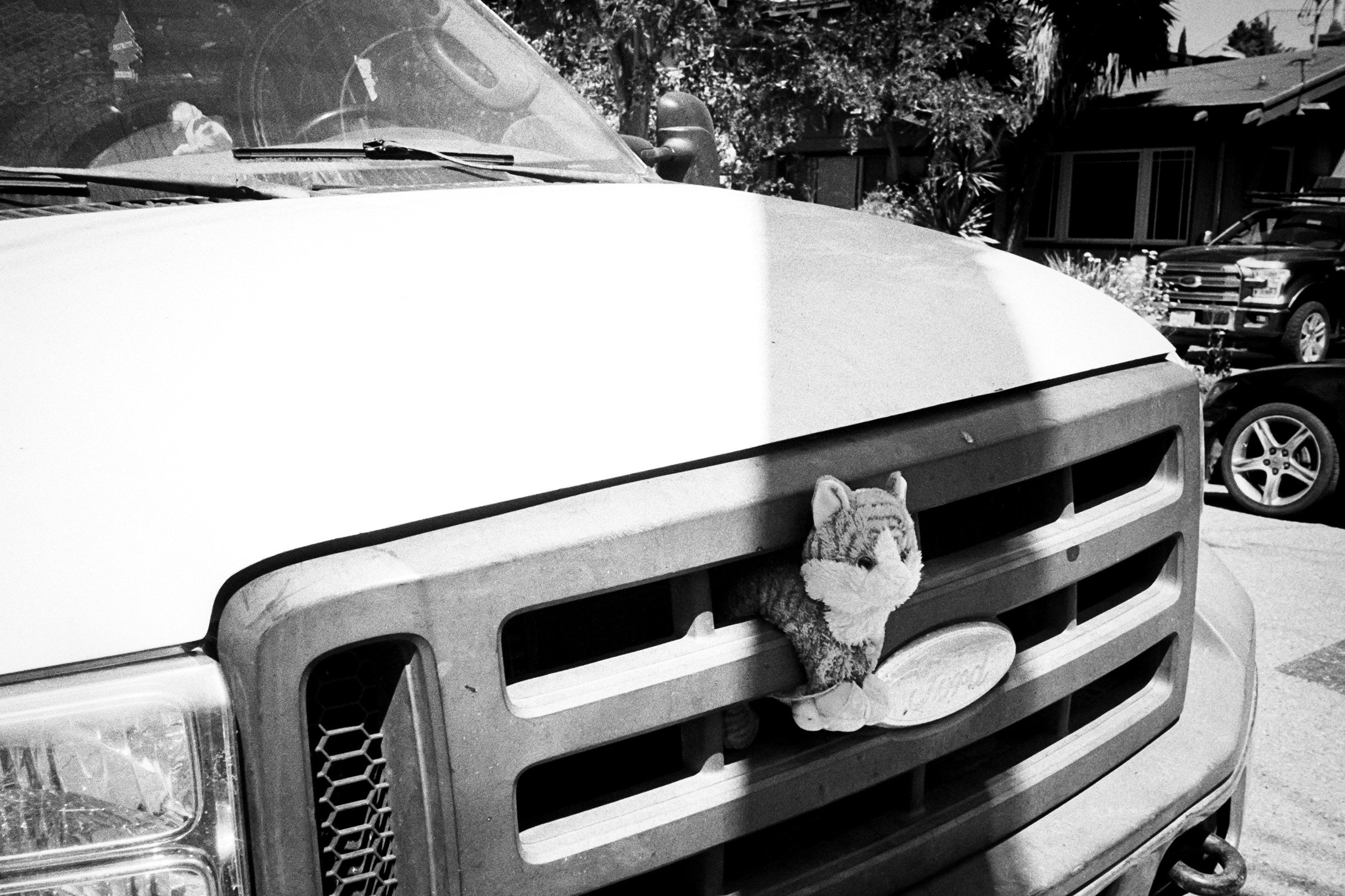 052024-OAK-OXA-TriX400-05 copy.jpg