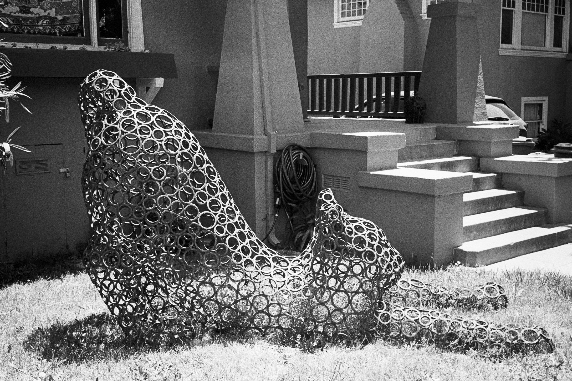 052024-OAK-R35S-TriX400-02 copy.jpg