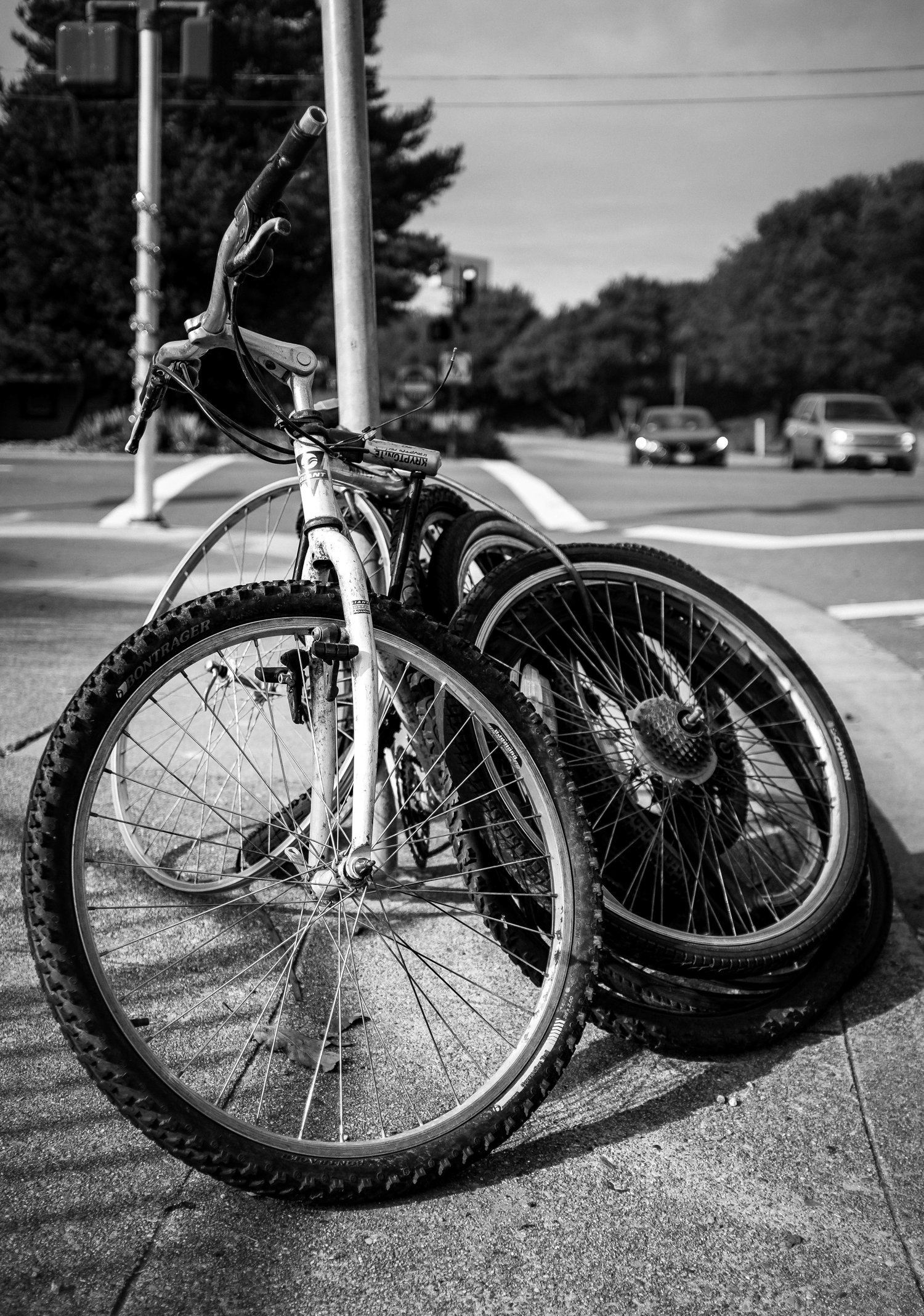 bicycle-01.jpg