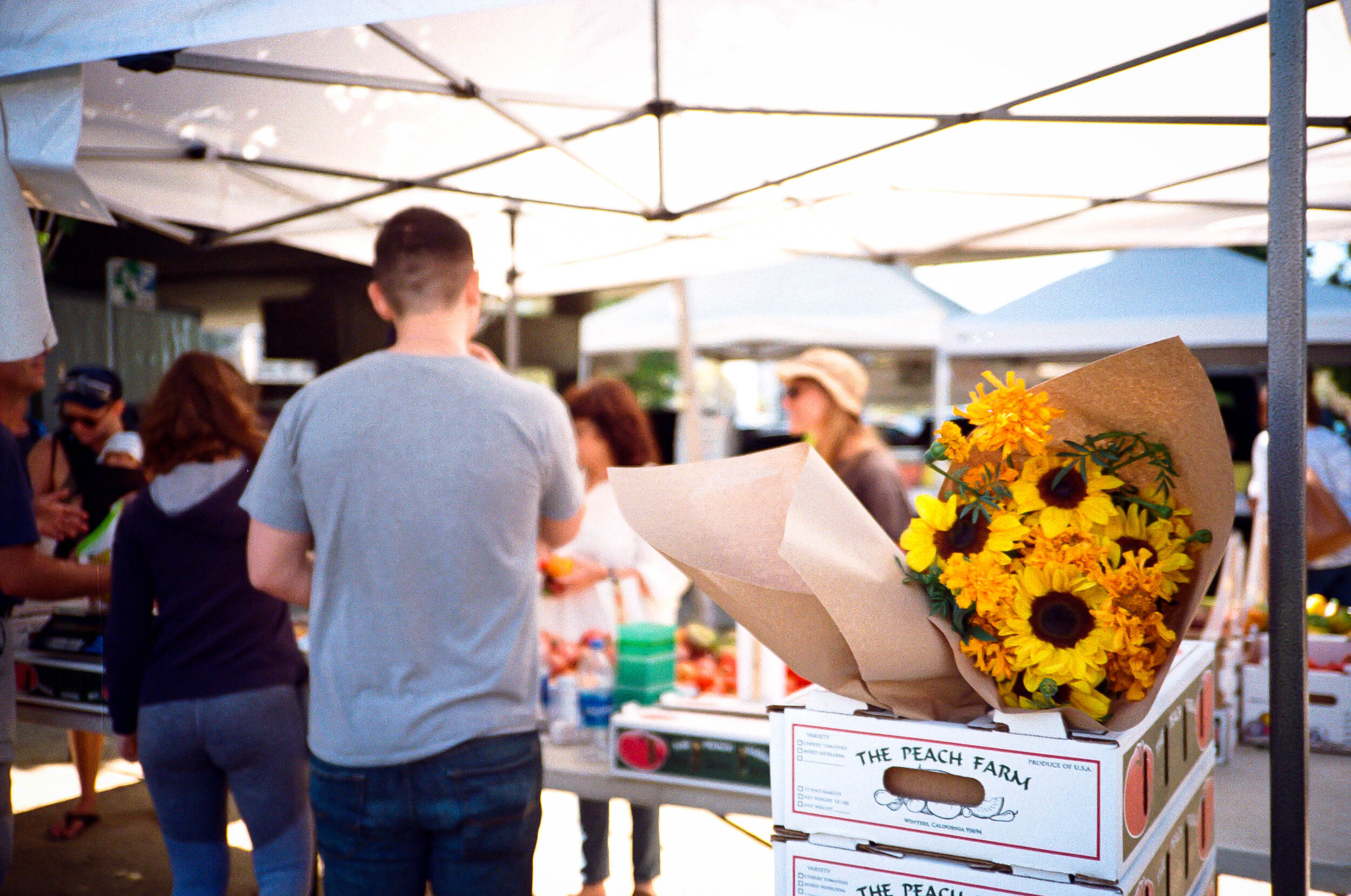 GL_Farmers-Market-02.jpg