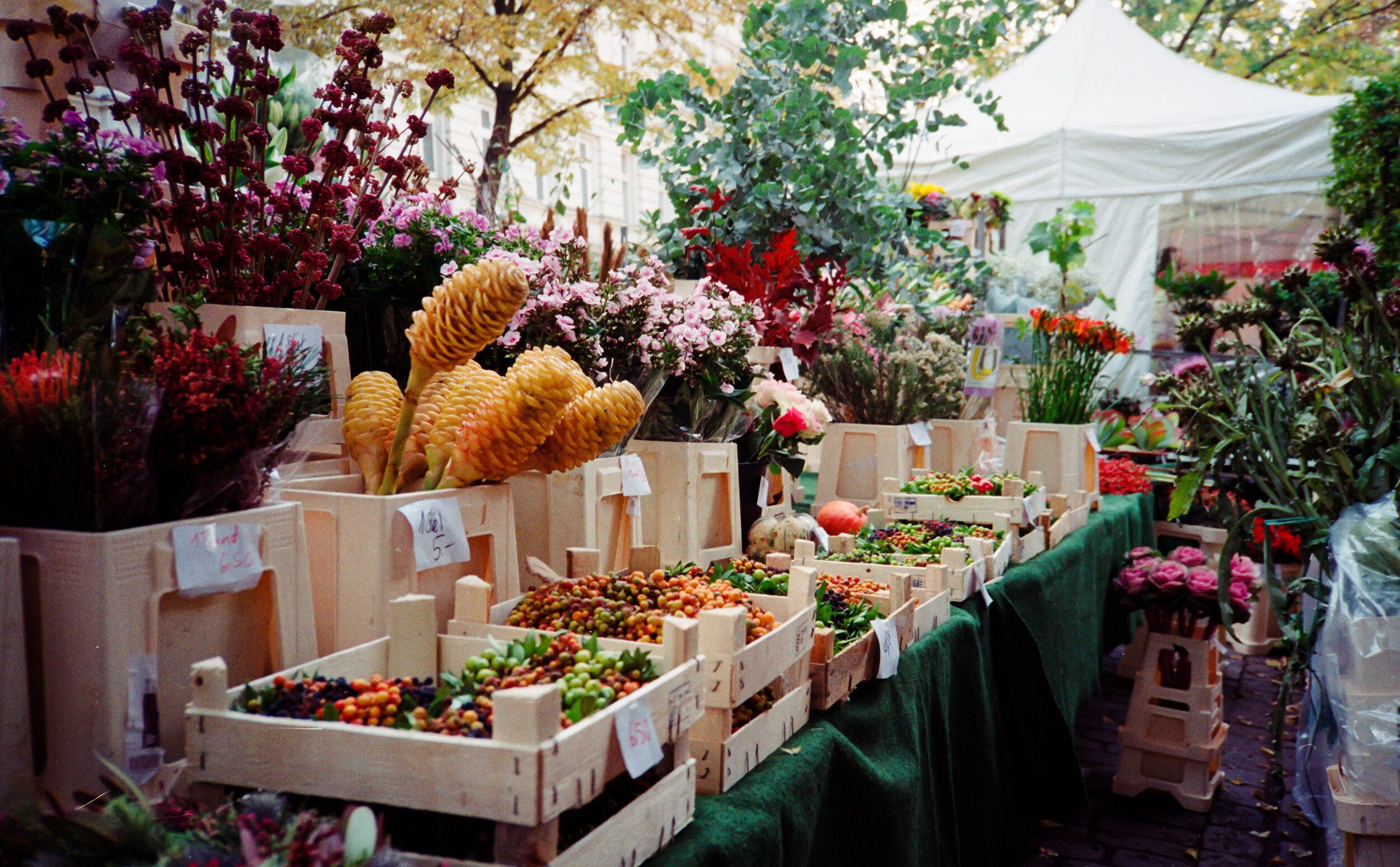 Kreuzberg-Turkish-Market-01 copy.jpg