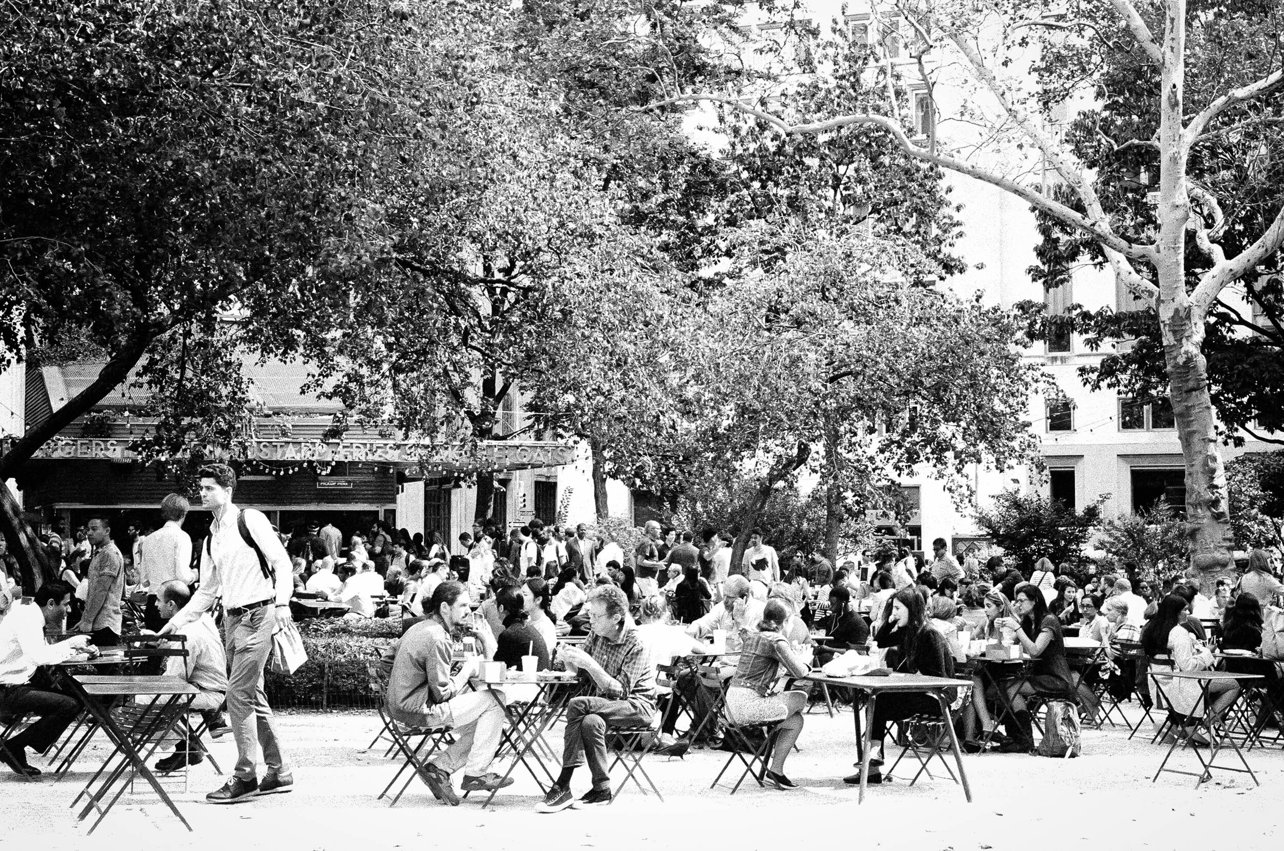 Lunch-in-Washinton-Sq_Park.jpg