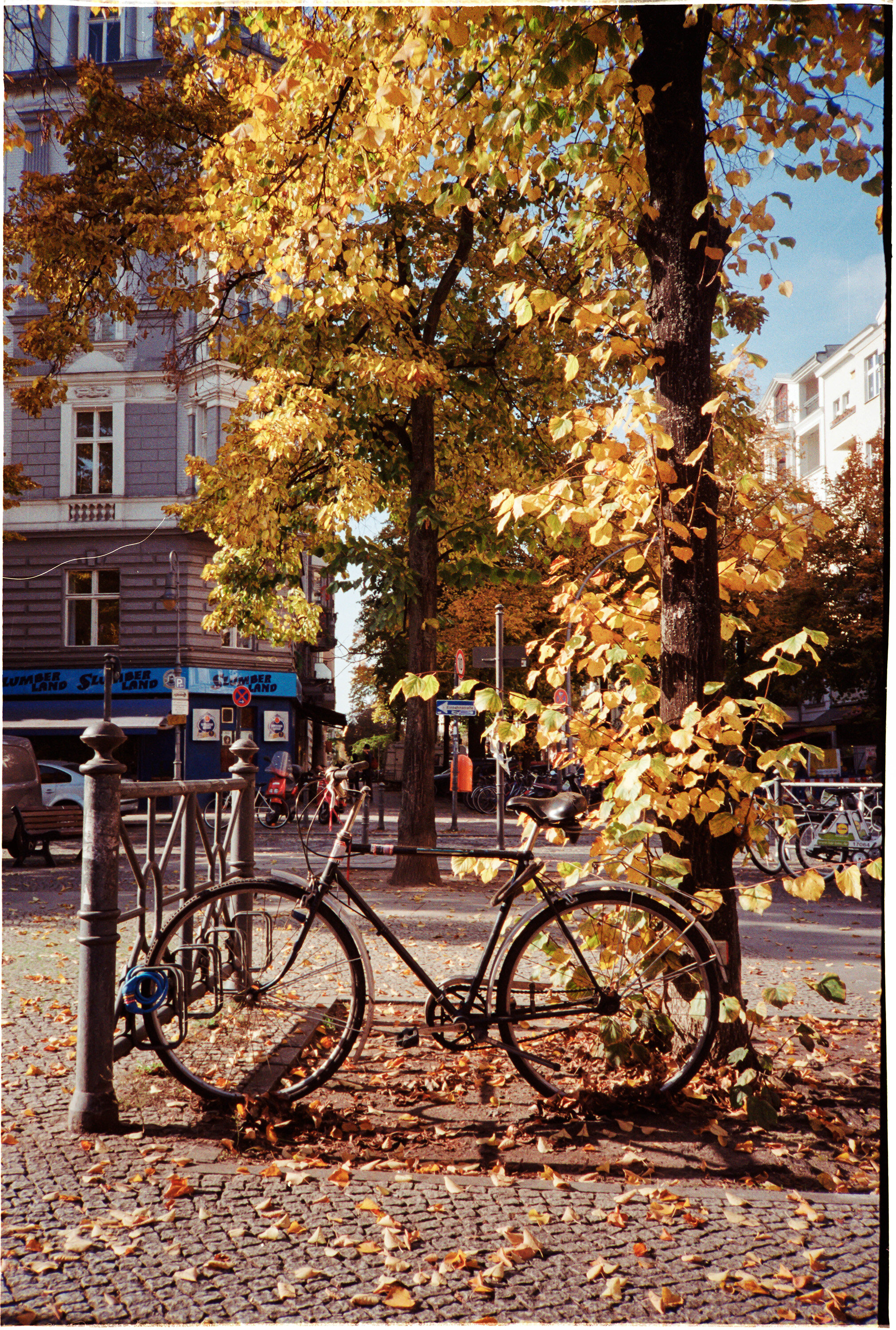 Schonneberg-bike-01 copy.jpg