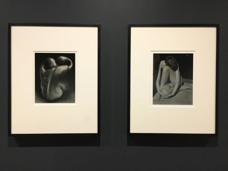 Edward Weston Early Works at Monterey Art