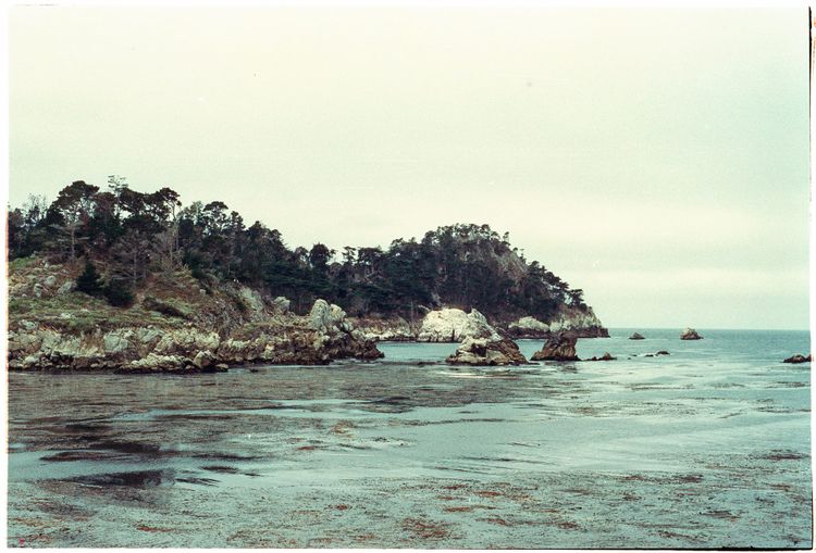 Adventures in Landscape Photography: Shooting Point Lobos