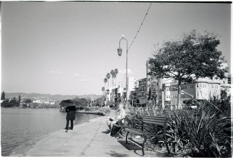 Adaptive Strategies: Social Media Distancing