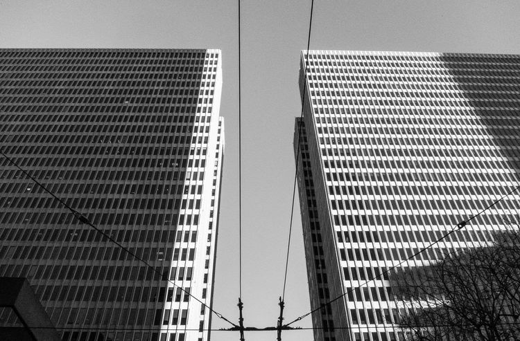 Familiar Paths, New Angles