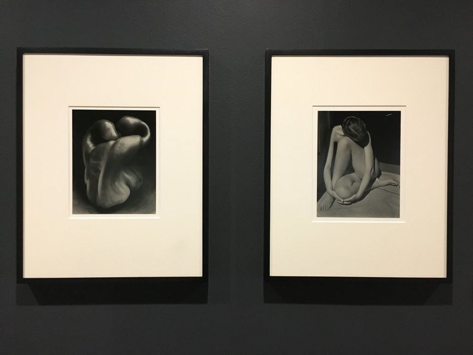 Edward Weston Early Works at Monterey Art