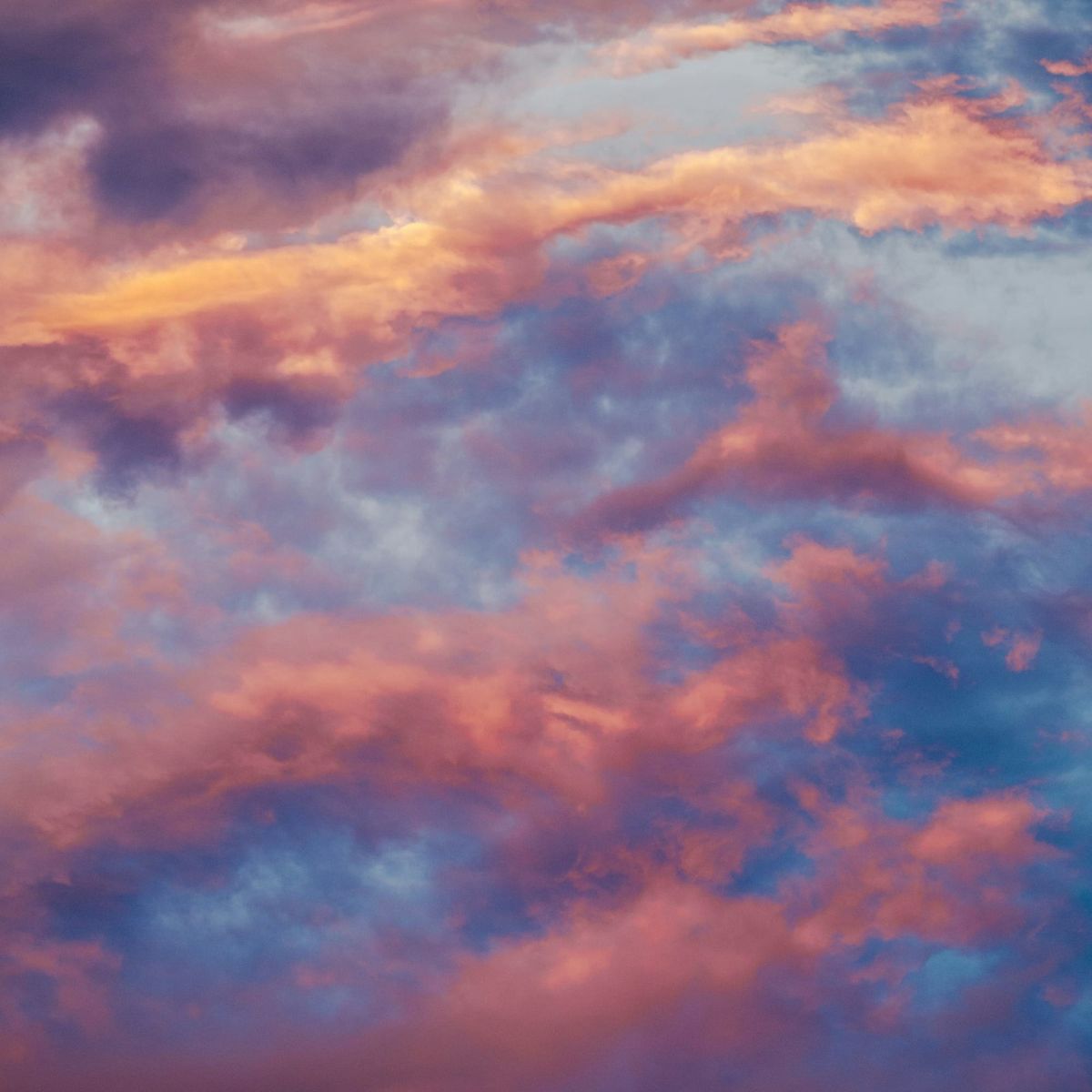 Options Are Younger, More Popular, and More Speculative Than Ever Before