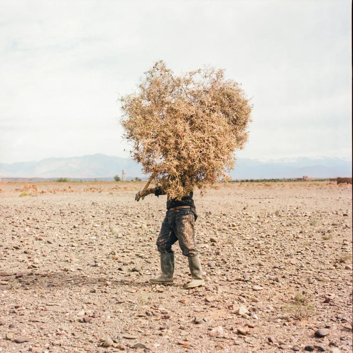 Before It’s Gone: M’hammed Kilito and the Disappearing Oases of Morocco